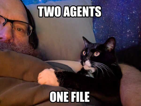 A tuxedo cat nestled against a bearded man on a couch under a starfield pillow, both looking at the camera, captioned TWO AGENTS above and ONE FILE below