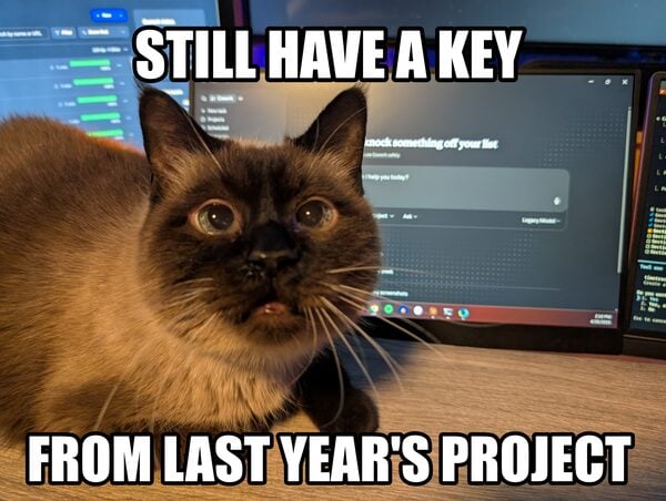 A seal point cat sprawled across a desk in front of three monitors, staring wide eyed at the camera, captioned STILL HAVE A KEY above and FROM LAST YEAR’S PROJECT below