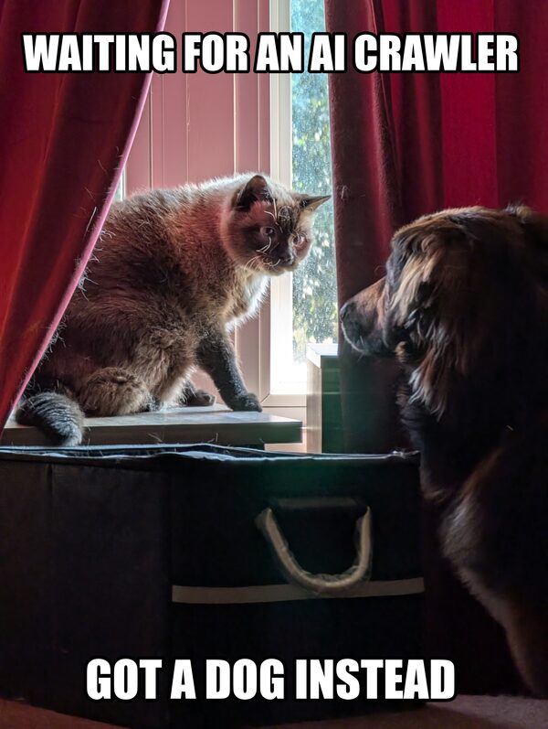 A cat on a windowsill table staring sideways at a large dog whose nose is inches away, captioned WAITING FOR AN AI CRAWLER above and GOT A DOG INSTEAD below