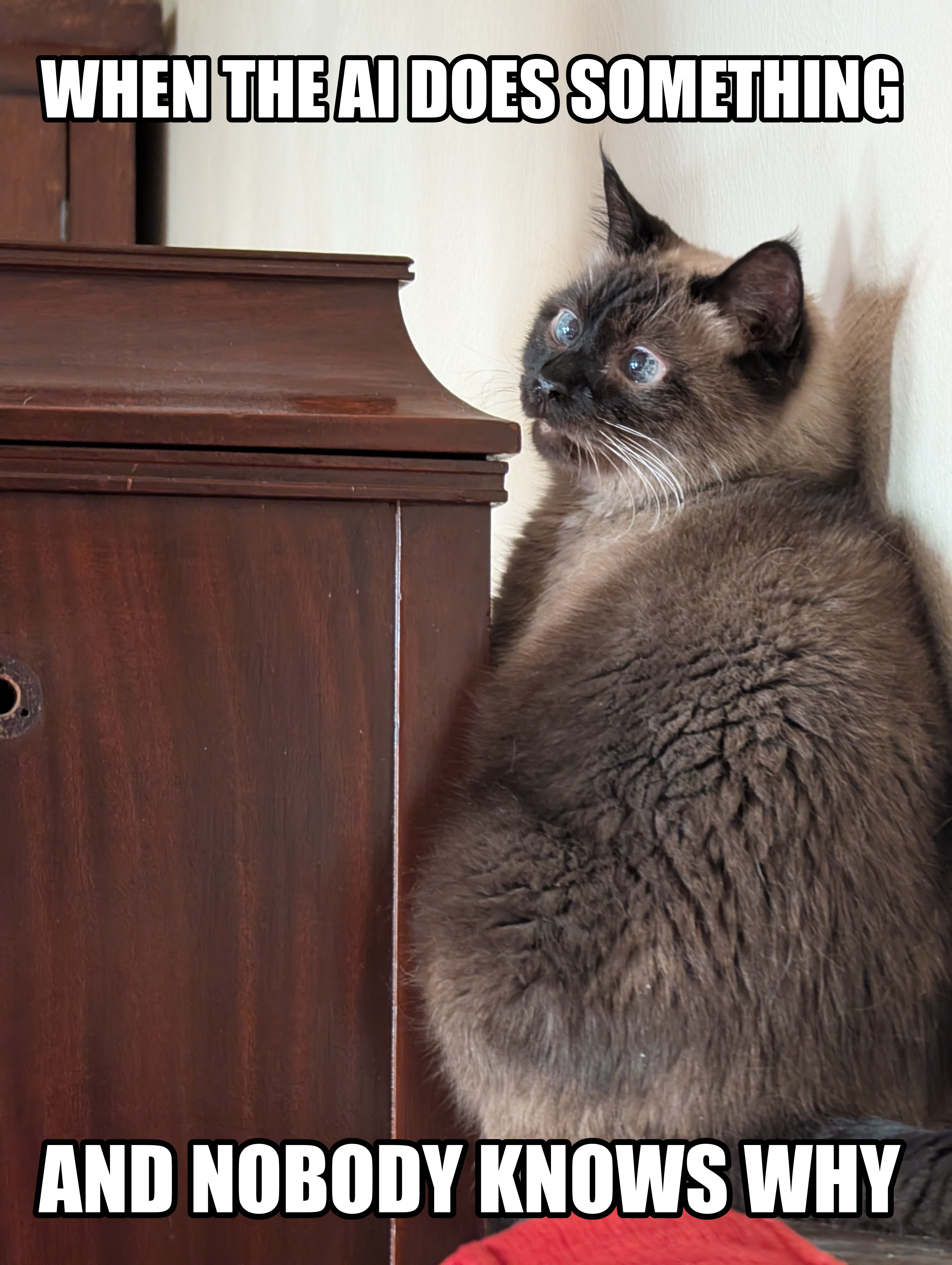 A fluffy seal-point cat perched by a wooden cabinet, its head turned sharply over its shoulder with wide alarmed eyes, captioned WHEN THE AI DOES SOMETHING above and AND NOBODY KNOWS WHY below